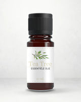 Etherische olie -tea tree - Islamboekhandel.nl