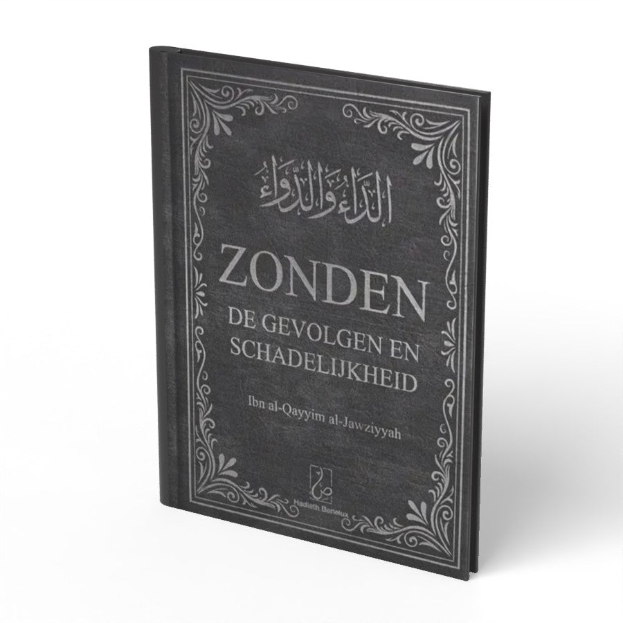 Zonden - De gevolgen en schadelijkheid - boek