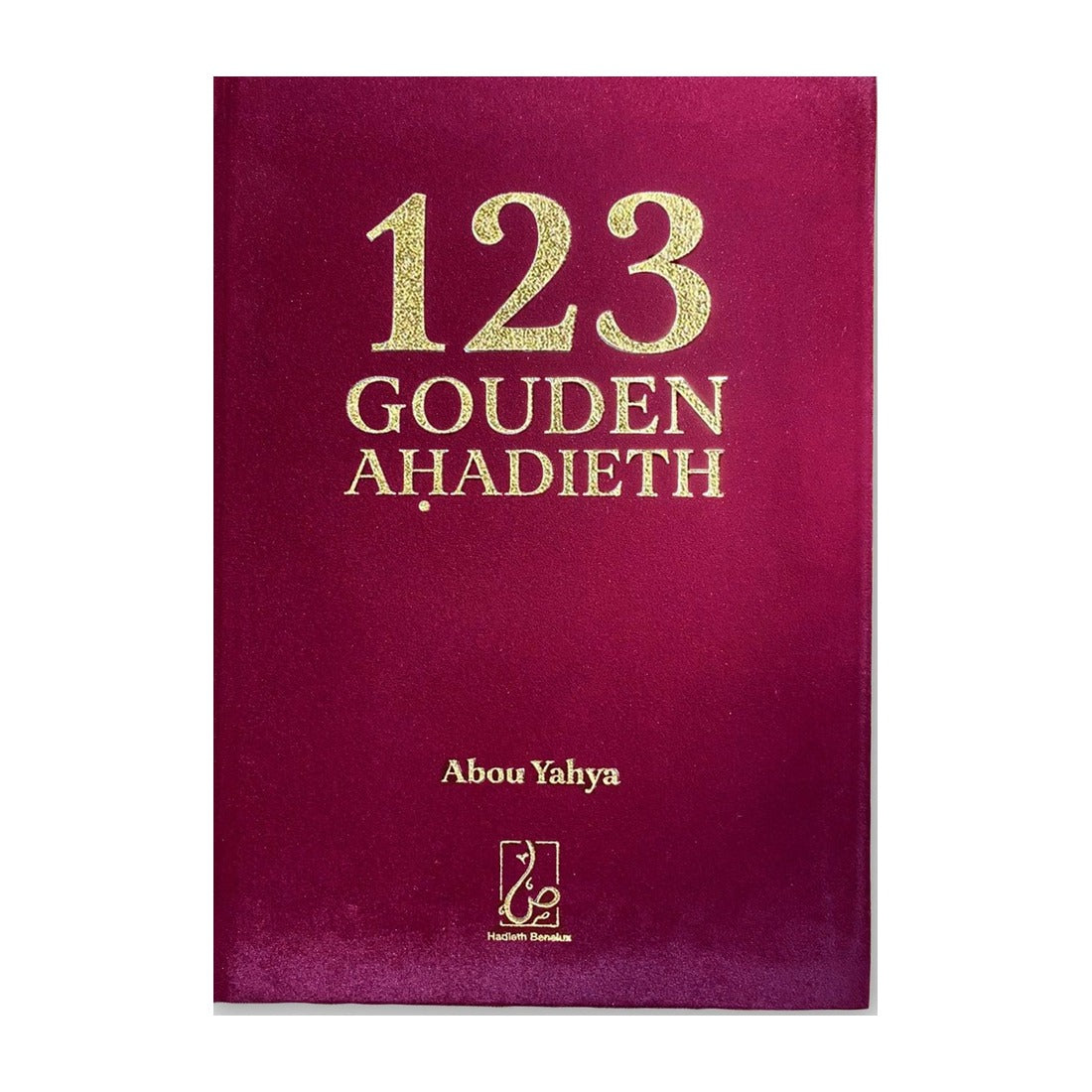 123 Gouden Ahadieth - boek