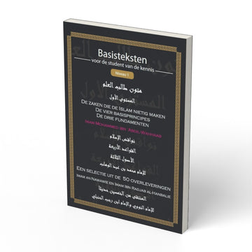 Basisteksten niveau 1 - boek