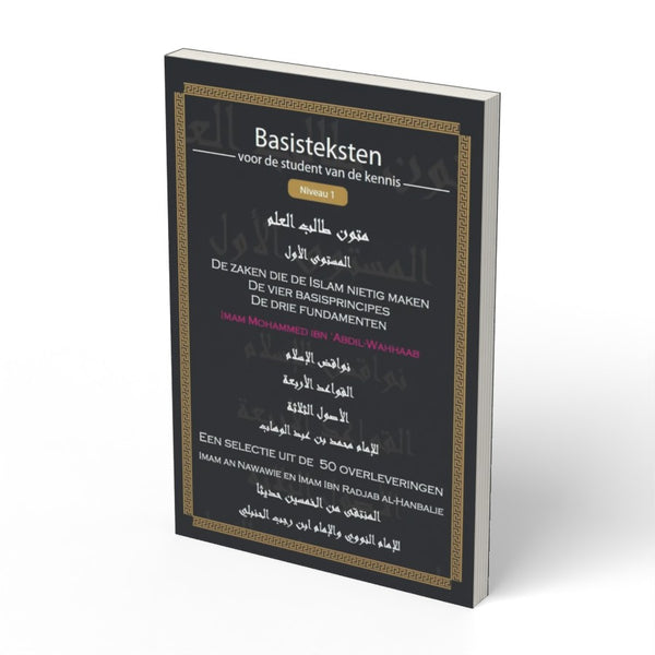 Basisteksten niveau 1 - boek