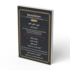 Basisteksten niveau 1 - boek