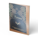 Berouw - boek