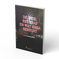 De dood het graf en wat erna gebeurt - boek