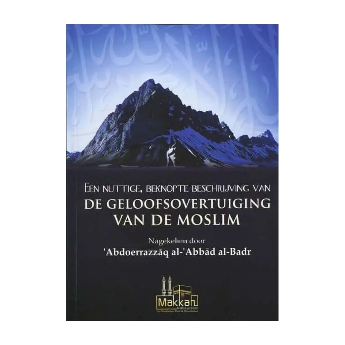 Een nuttige, beknopte beschrijving van de geloofsovertuiging - boek