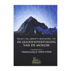 Een nuttige, beknopte beschrijving van de geloofsovertuiging - boek