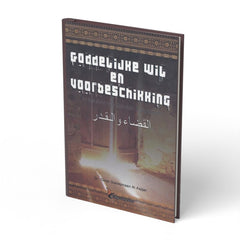 Goddelijke wil en voorbeschikking - boek
