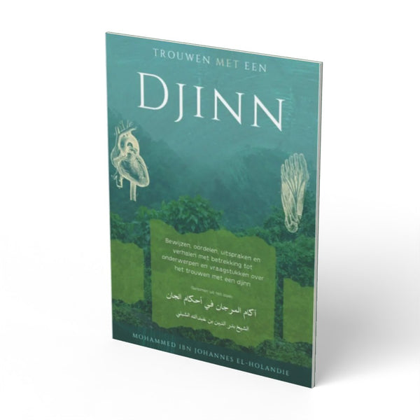 Trouwen met een djinn - boek