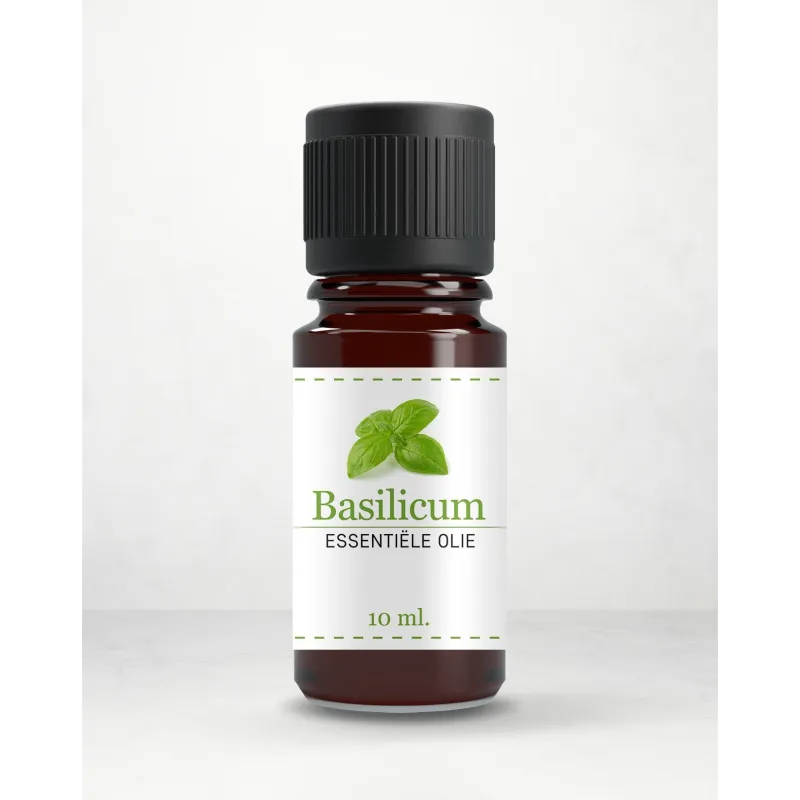 Etherische olie -basilicum Muskolie