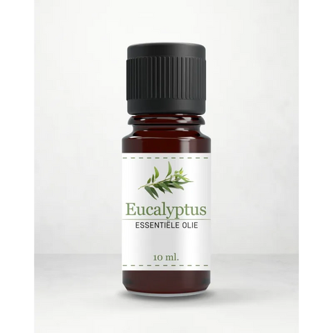 Etherische olie -eucalyptus Organia Basic