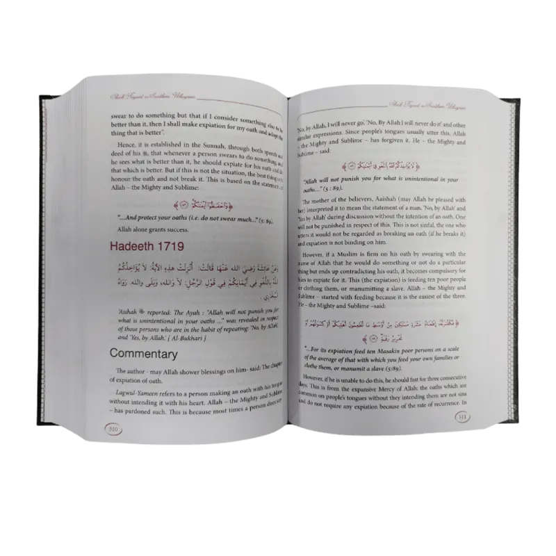 Explanation of Riyadus-Saliheen (Volume1-6) Engelse Boek