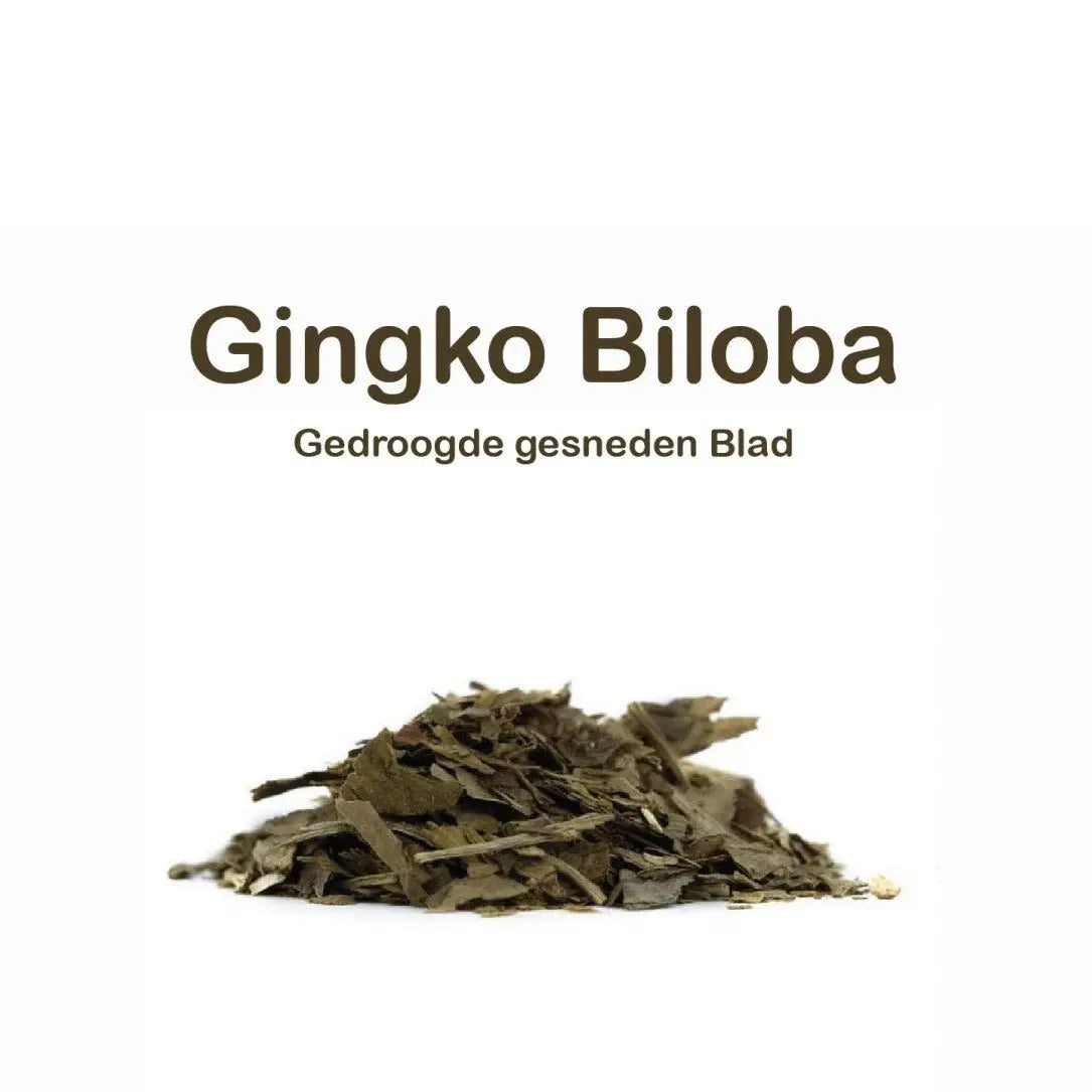 Gedroogde Gingko Biloba blad 100 gram - Islamboekhandel.nl