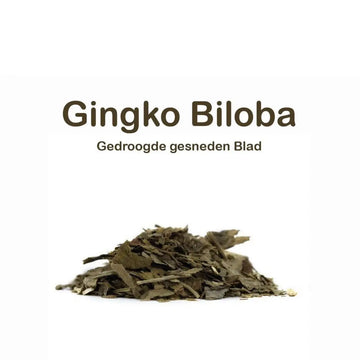 Gedroogde Gingko Biloba blad 100 gram - Islamboekhandel.nl