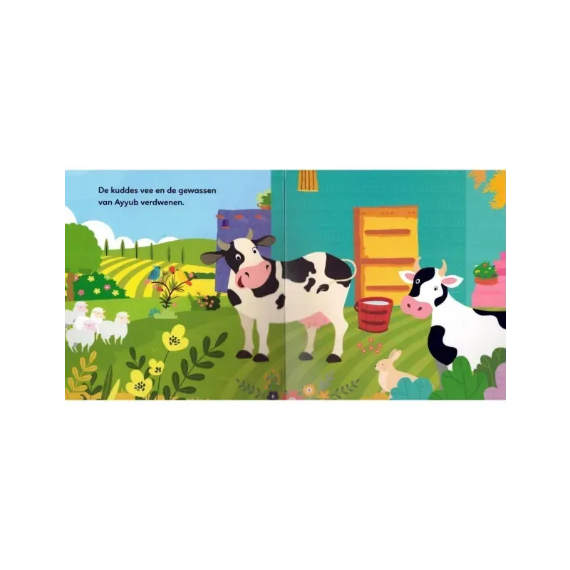 Het Verhaal van Profeet Ayyub - Islamboekhandel.nl