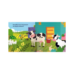 Het Verhaal van Profeet Ayyub - Islamboekhandel.nl