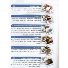 Illustrated jurisprudence of act (Arabisch) - Islamboekhandel.nl