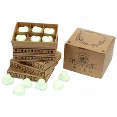 Decoratieve kartonnen dozen met geurige wax melts in de geur Mint & Menthol