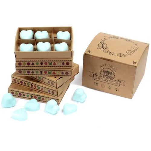 Hartvormige badbombs in decoratieve kraftpapierdozen voor geurige wax melts