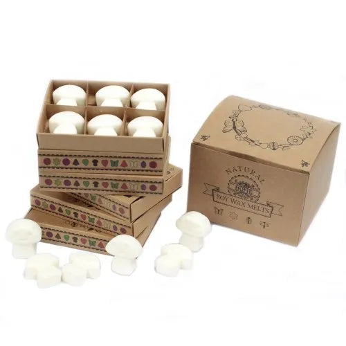 IPREMA Giftware Box Of 6 Wax Melts - White Musk