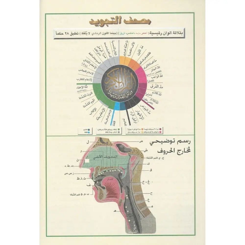 Koran Tajweed Large -Hafs - Islamboekhandel.nl
