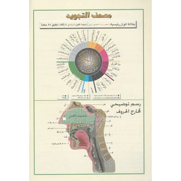Koran Tajweed Large -Hafs - Islamboekhandel.nl