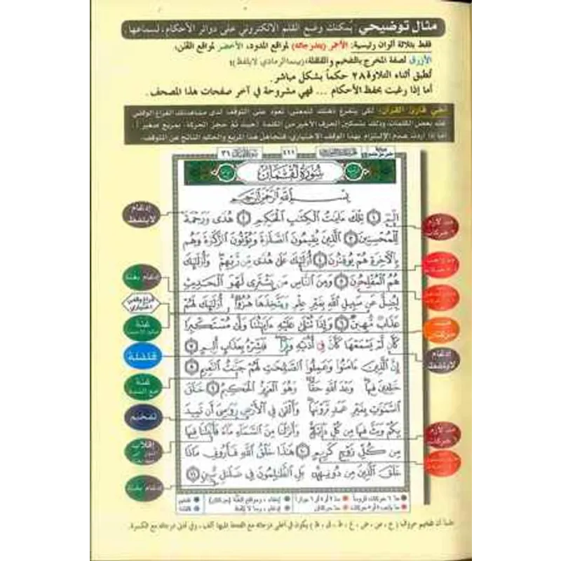 Koran tajweed -small -hafs - Boek