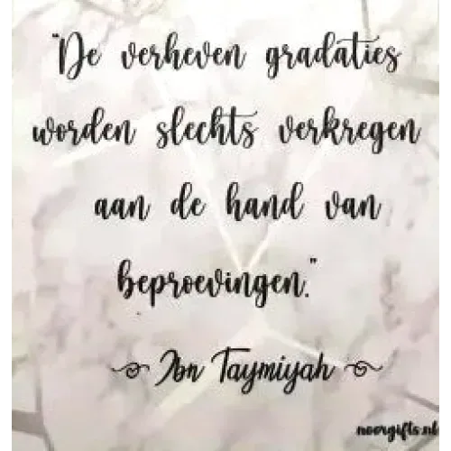 Magneetbordje met tekst Marmer Rosé - Gradaties - Islamboekhandel.nl