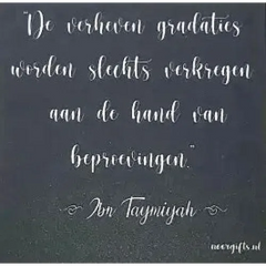 Magneetbordje met tekst zwart toont een donkergrijze achtergrond met witte sierlijke cursieve arabische wijsheid van ibn taymiyah