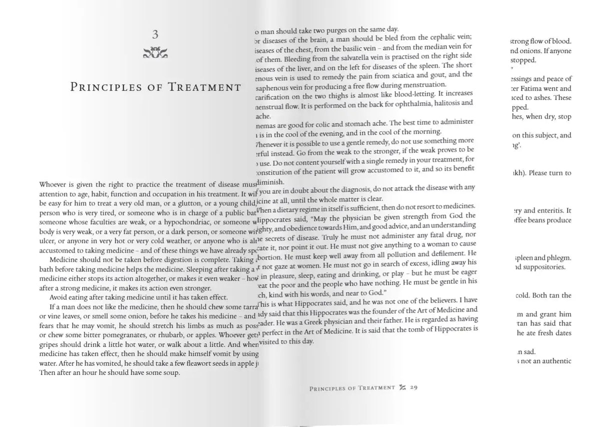 Medicine of the Prophet (Ta Ha Puplishers) - Engelse Boek