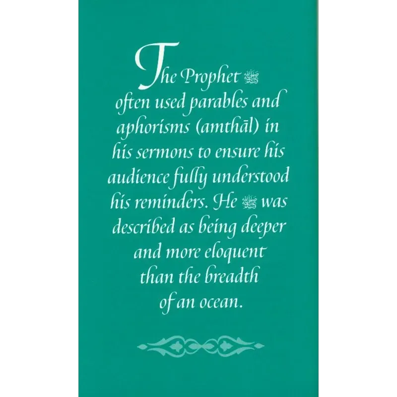 Meeting Muhammad | Omar Suleiman - Islamboekhandel.nl