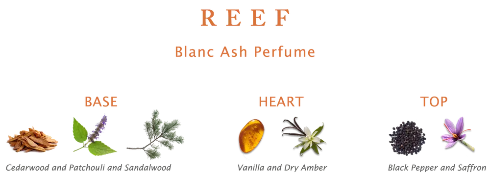 Reef Perfume Blanc Ash – EDP - 150ml - Eau de Parfum