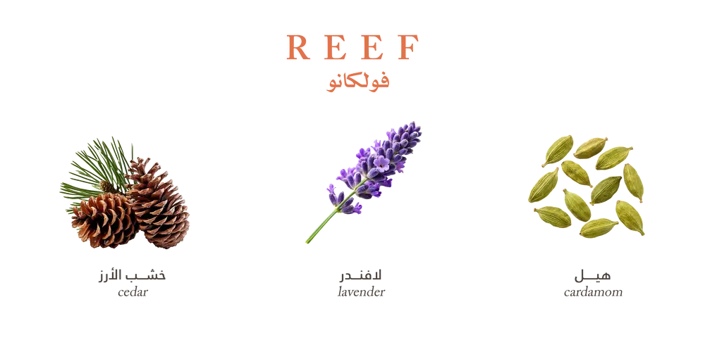 Reef Perfume Volcano – EDP - 200ml - Eau de Parfum