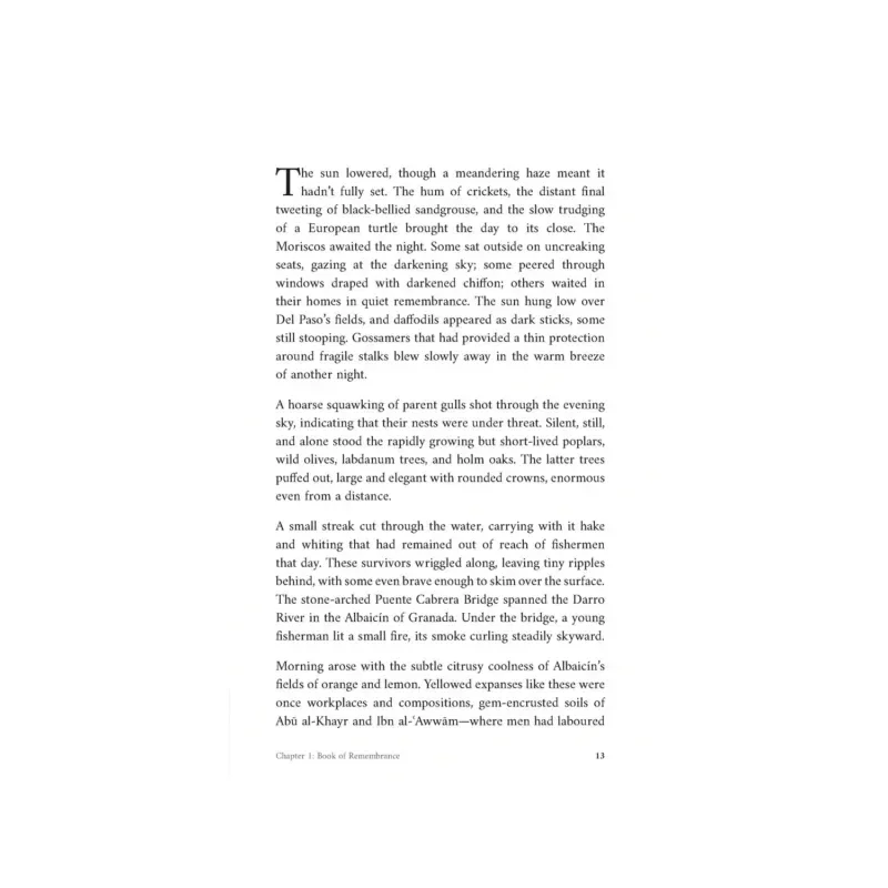 Shadows of Strangers - Islamboekhandel.nl