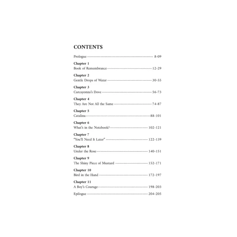 Shadows of Strangers - Islamboekhandel.nl