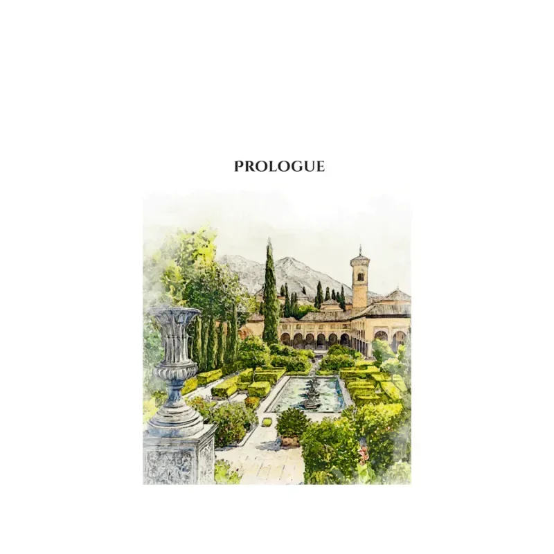 Shadows of Strangers - Islamboekhandel.nl