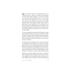 Shadows of Strangers - Islamboekhandel.nl
