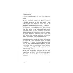 Shadows of Strangers - Islamboekhandel.nl