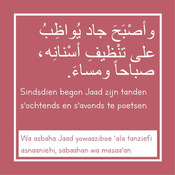 Sousa - Kinderverhaal in het Arabisch en Nederlands - Islamboekhandel.nl