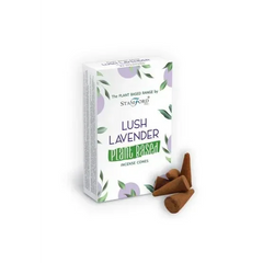 Stamford Plantaardige Wierookkegels Lavender - Islamboekhandel.nl