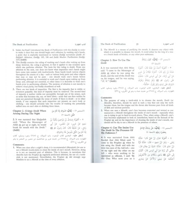 Sunan An Nasai : English, Arabic : 6 Volume Set - Islamboekhandel.nl