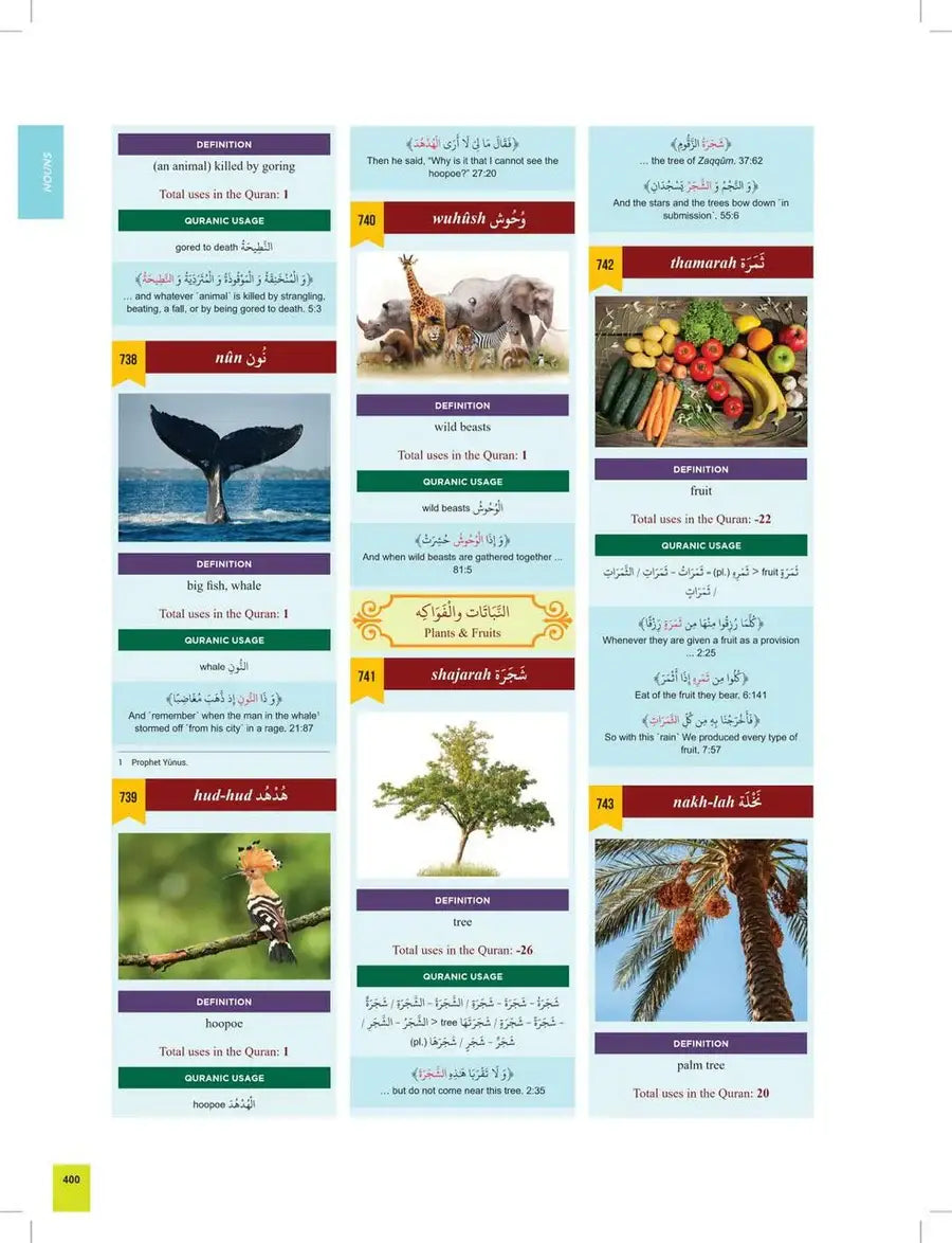 The Clear Quran Series Dictionary - Islamboekhandel.nl