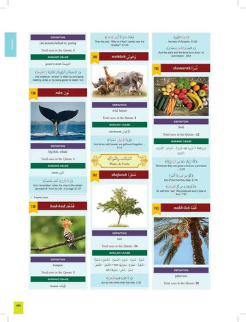 The Clear Quran Series Dictionary - Islamboekhandel.nl