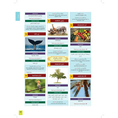 Onderwijs poster met natuur elementen en Arabische labels in de Clear Quran Series Dictionary