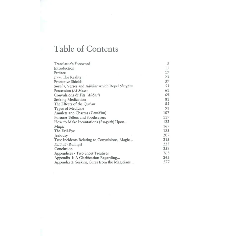 Inhoudsopgave uit De Jinn, Magie en het Boze Oog, zwarte tekst op wit papier