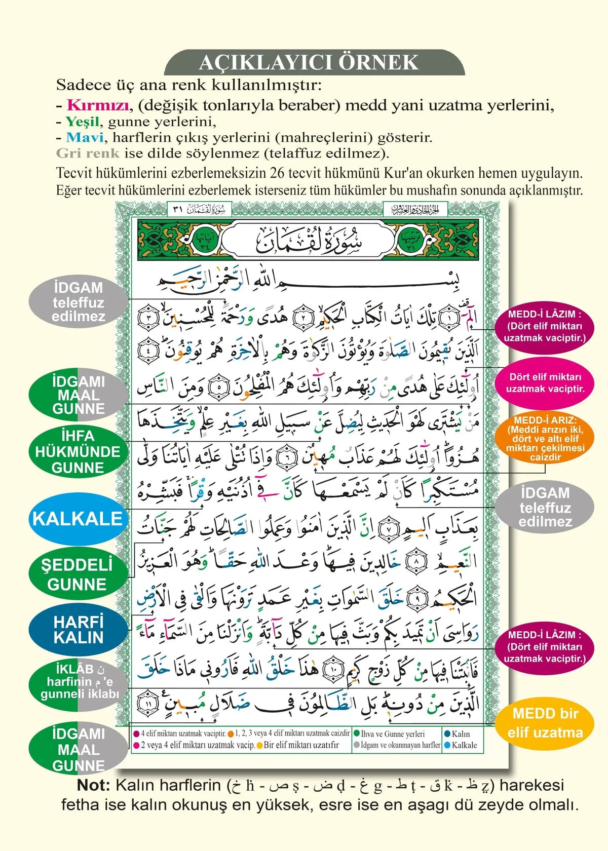 Turkse Koran Tajweed -Turks/Tecvitli Kuranı Kerim - Islamboekhandel.nl