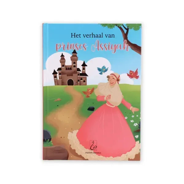 Een geïllustreerd kinderboek het verhaal van prinses assiyah met een prinses in een roze jurk voor een kasteel
