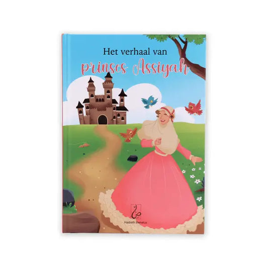 Een geïllustreerd kinderboek het verhaal van prinses assiyah met een prinses in een roze jurk voor een kasteel