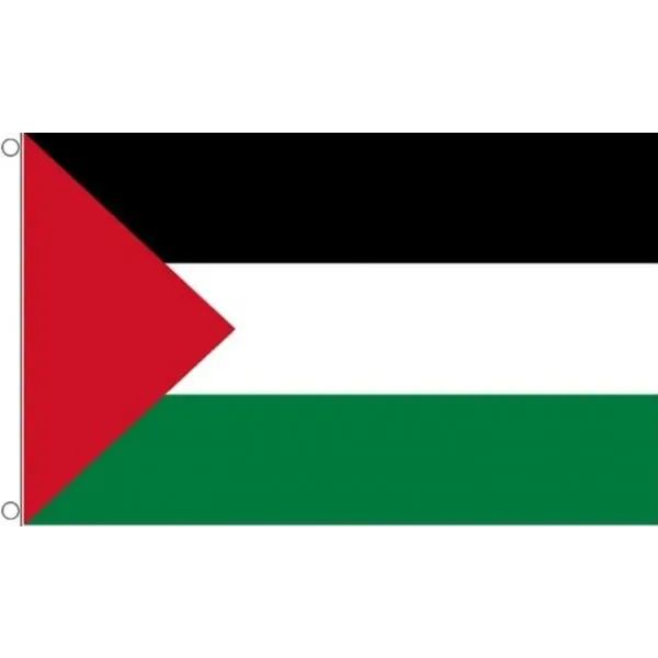 Vlag Palestina (90x150) - Islamboekhandel.nl