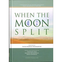 Boek met lichtgroene en beige kaft met titel When the Moon Split, voor het product When the Moon Split