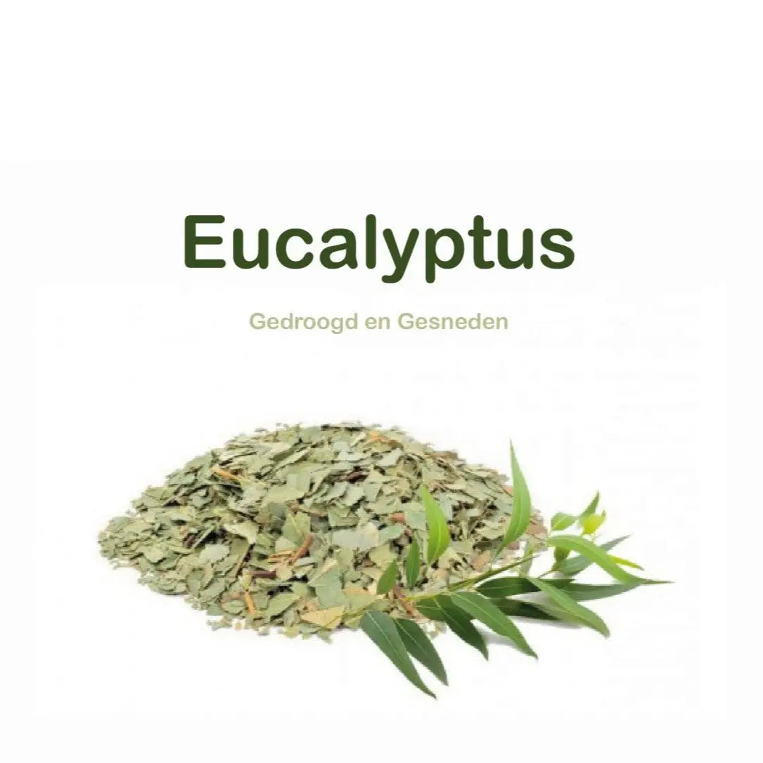 Gedroogde Eucalyptusblad 100 gram - Islamboekhandel.nl
